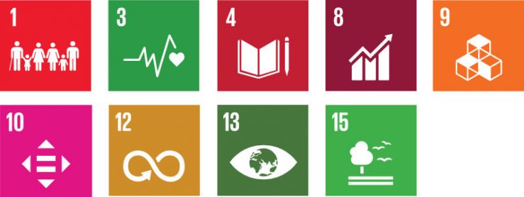 UN Goals - no language.jpg